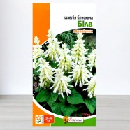 Насіння шавлії блискучої Біла, 0,15г, ТМ Яскрава